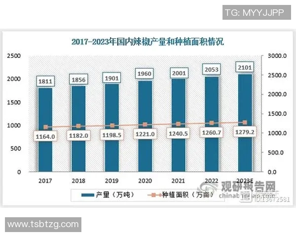 重庆排球队在联合会杯中的实力展现与未来发展潜力分析